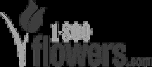 Partner logo 1